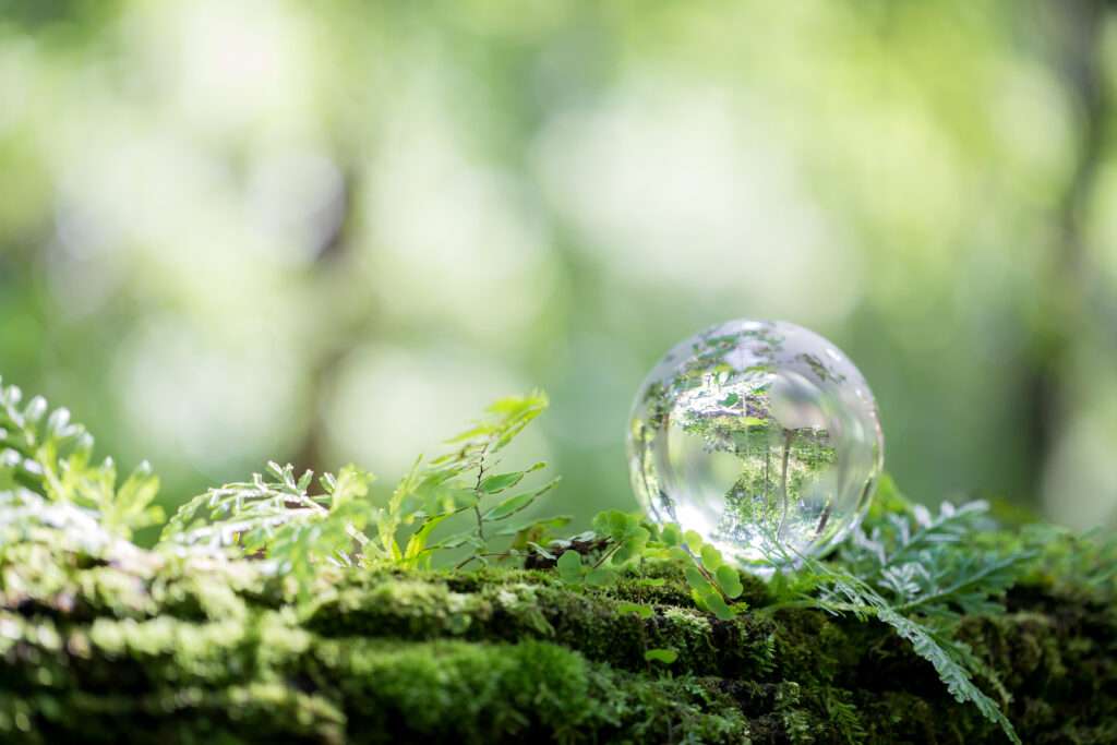 A globe of water on a bed of moss